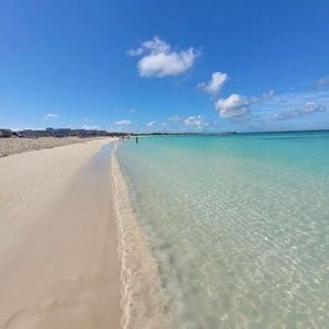 Meet your Posher, Trish